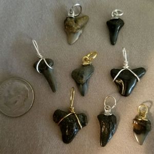 Shark Tooth Pendants Charms Lot